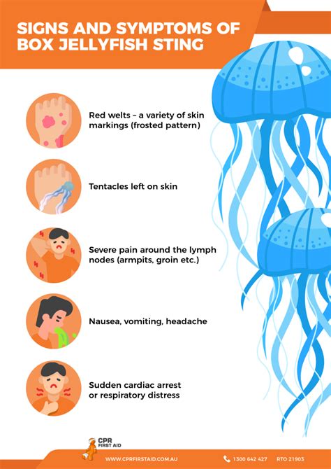 Box Jellyfish Sting Symptoms .